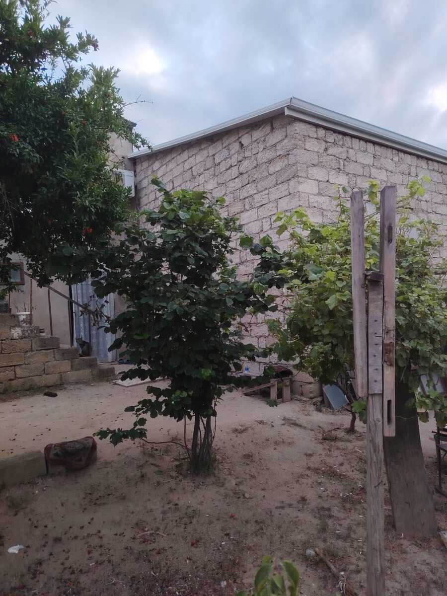 Satılır torpaq 9 sot — Torpaq, Bakı (3)