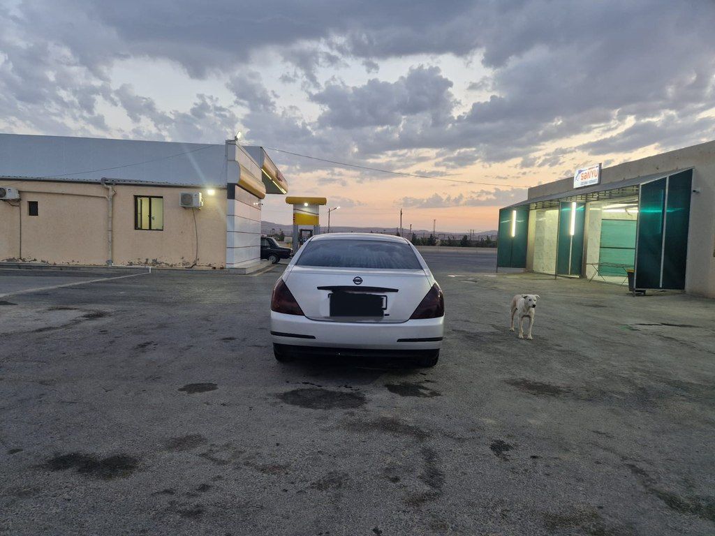 Nissan Teana, 2.3 L, 2007 il, 324 000 km — Avtomobillər, Masallı (7)