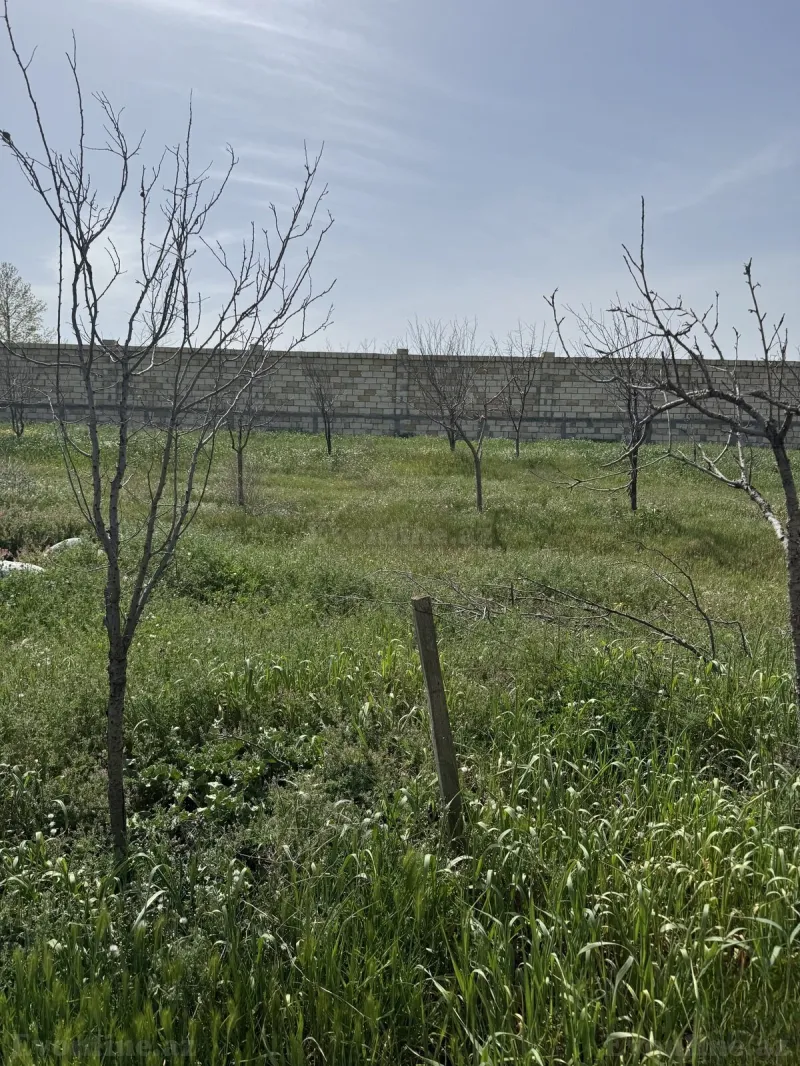 Satılır Torpaq 19 sot Bakı, Abşeron r., Masazır — Torpaq, Bakı (3)