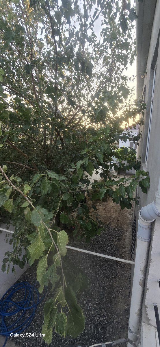 Satılır 5 otaqlı həyət evi/bağ evi 150 m² — Ev, villa, Bakı (6)