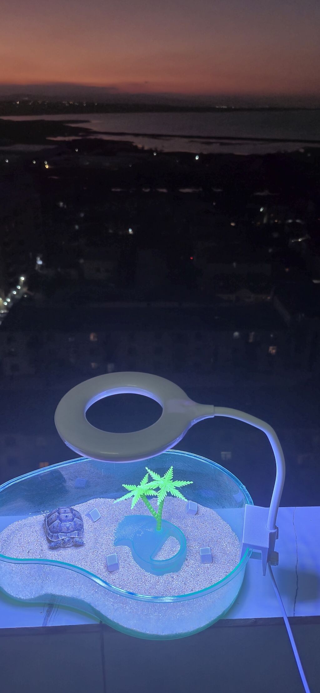 Mini tısbağa üçün dekorativ akvaterrarium və LED masa lampası dəsti — Akvariumlar və balıqlar, Xırdalan (2)