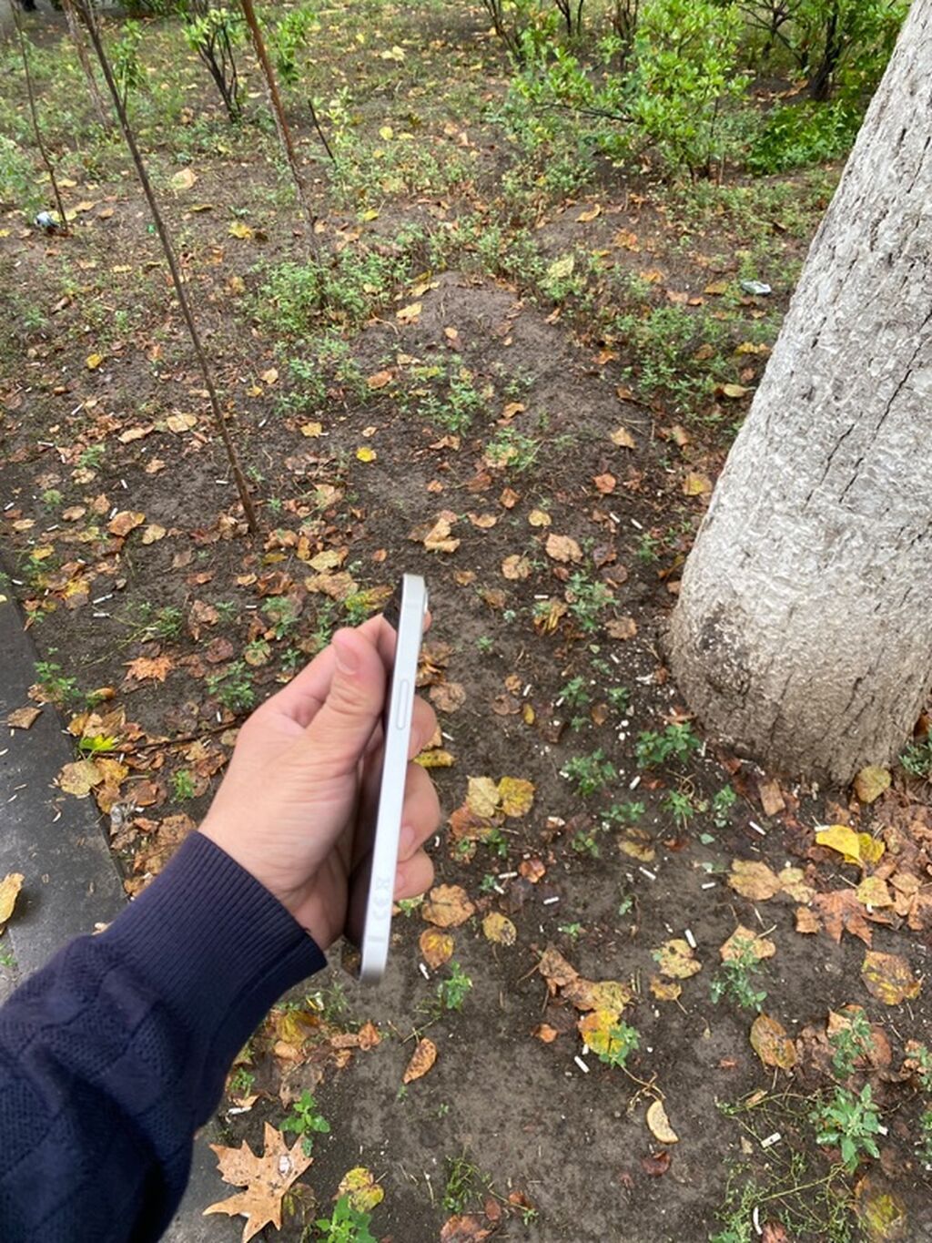 IPhone 13, 128 GB, Ağ, Face ID — Apple iPhone, Qazax (5)
