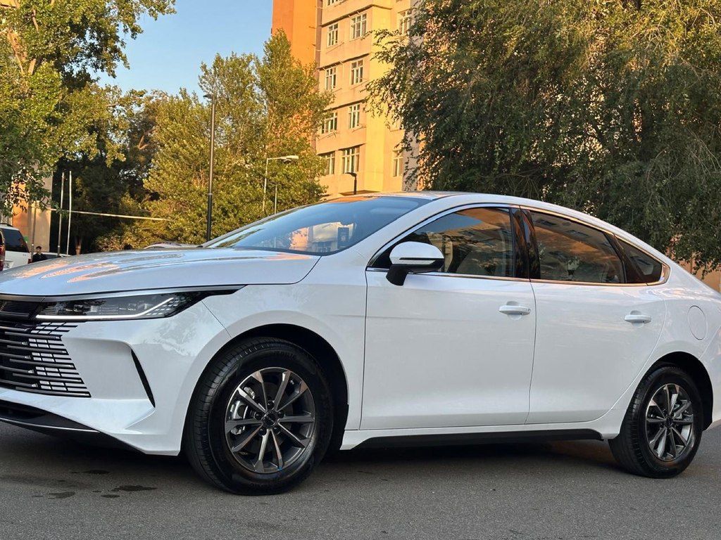 BYD Destroyer 05, 1.5 L, 18.3 kWh, 2025 il, 6 000 km — Avtomobillər, Bakı (3)