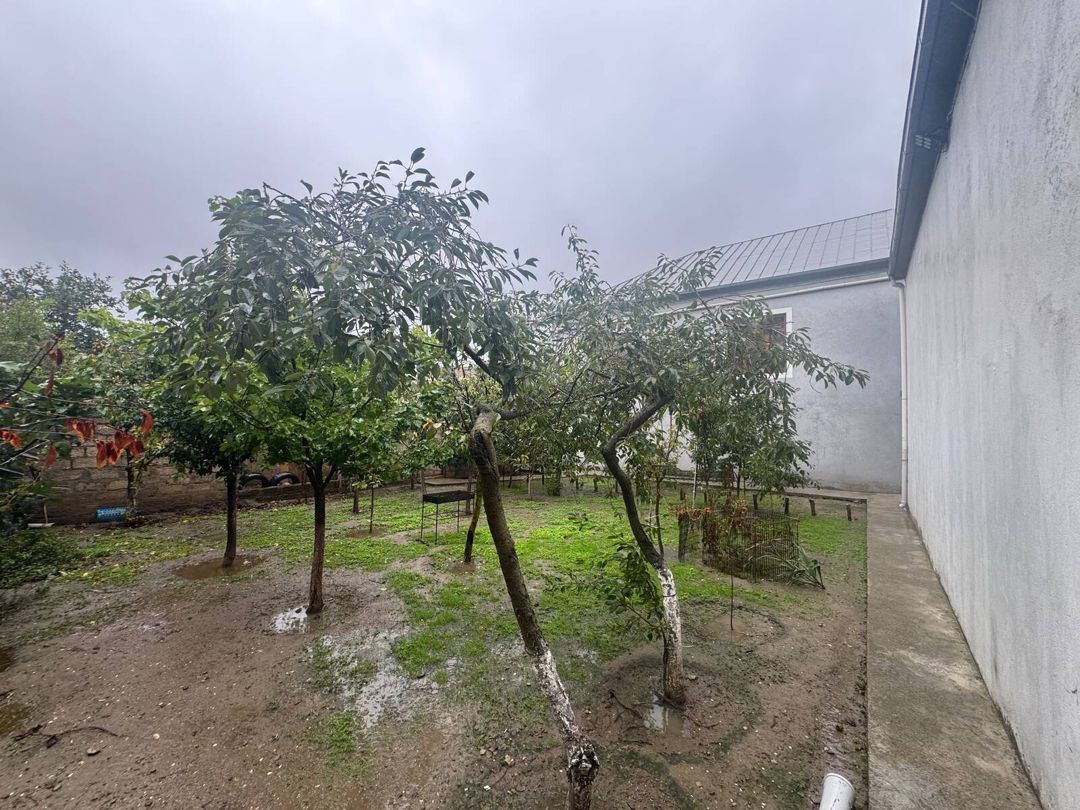 Satılır 3 otaqlı həyət evi/bağ evi 100 m² — Ev, villa, Bakı (3)