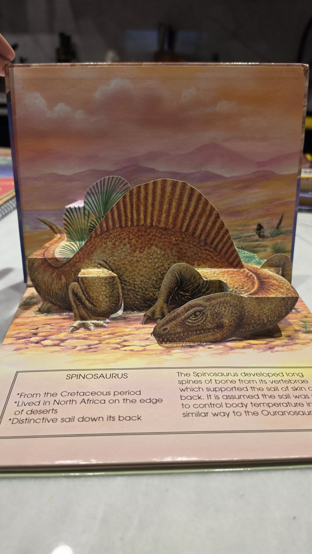 Детская 3D-книга «Dinosaurs Pop-Up Book» (на английском) Продаю — Kitablar, Bakı (4)