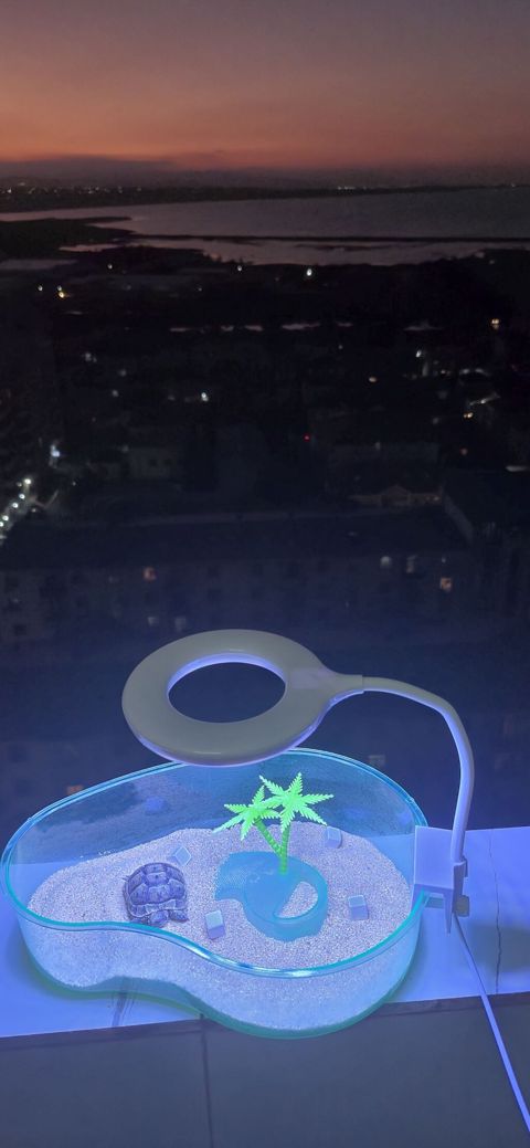 Mini tısbağa üçün dekorativ akvaterrarium və LED masa lampası dəsti — Xırdalan