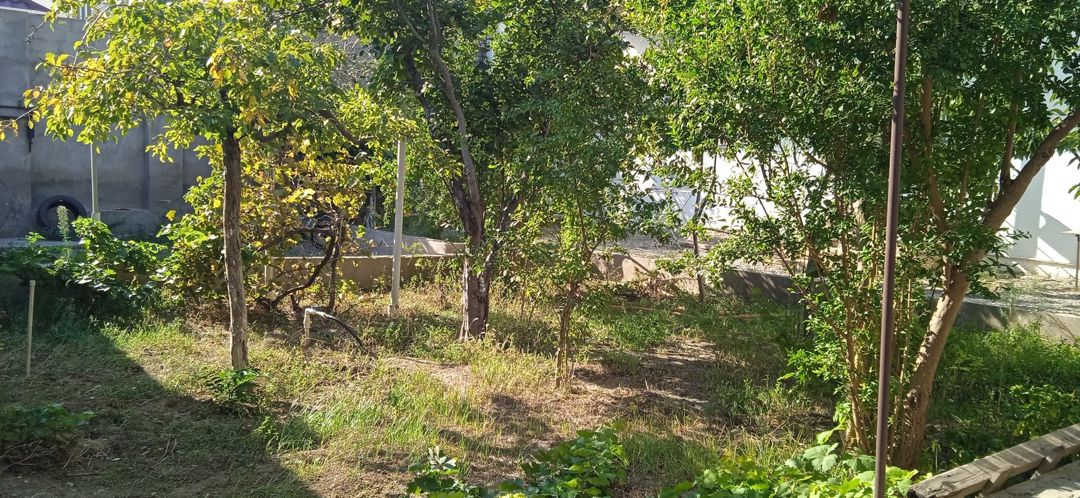 Satılır 6 otaqlı həyət evi/bağ evi 220 m² — Ev, villa, Bakı (2)