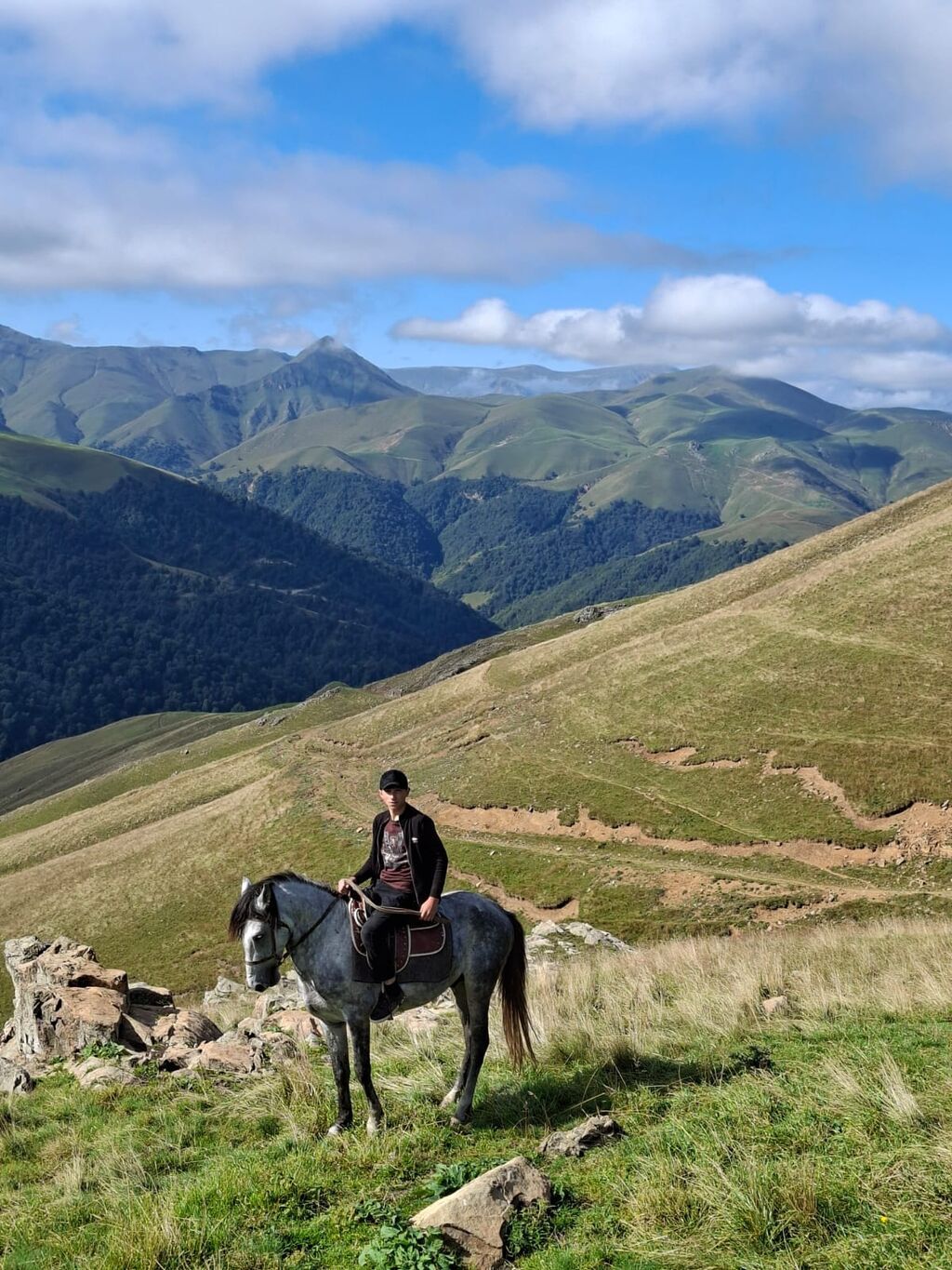 Boz rəngli, zərif quruluş at yaş 6 qiymət 2500m erkek di +994 55 861 — Atlar, Yevlax (3)
