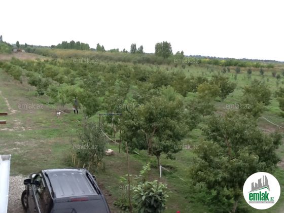 Satılır 5 otaqlı 20000 m² həyət evi Xudat — Ev, villa (2)