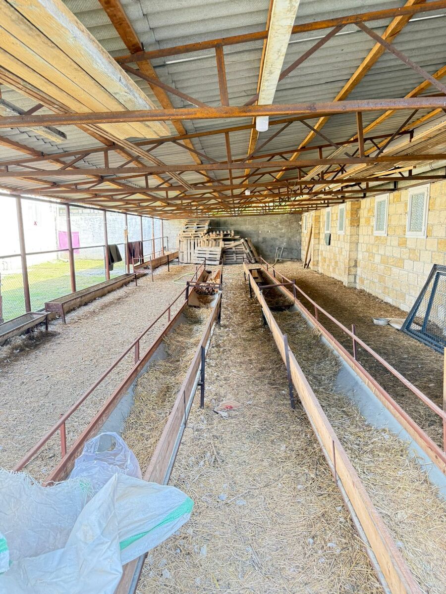Satılır torpaq 5000 sot — Torpaq, Ağcabədi (8)