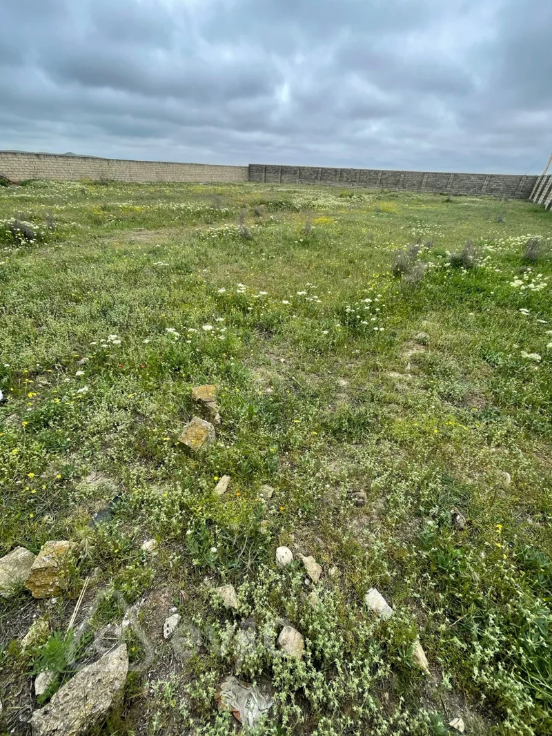 Torpaq sahəsi, 12 sot, Novxanı — Torpaq, Bakı (4)