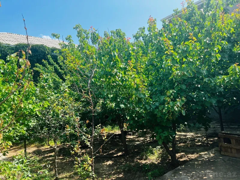 Satılır 8 otaqlı Həyət evi 200 m² Bakı, Abşeron r., Novxanı — Ev, villa, Bakı (4)