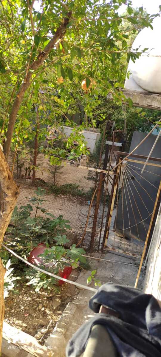 3-otaqlı mənzil, Buzovna qəs., 56 m² — Mənzil, Bakı (11)