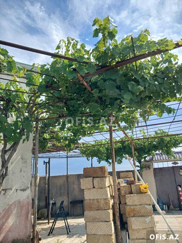 Torpaq Satılır Sabunçu r., Nardaran q., 6 sot — Torpaq, Bakı (5)