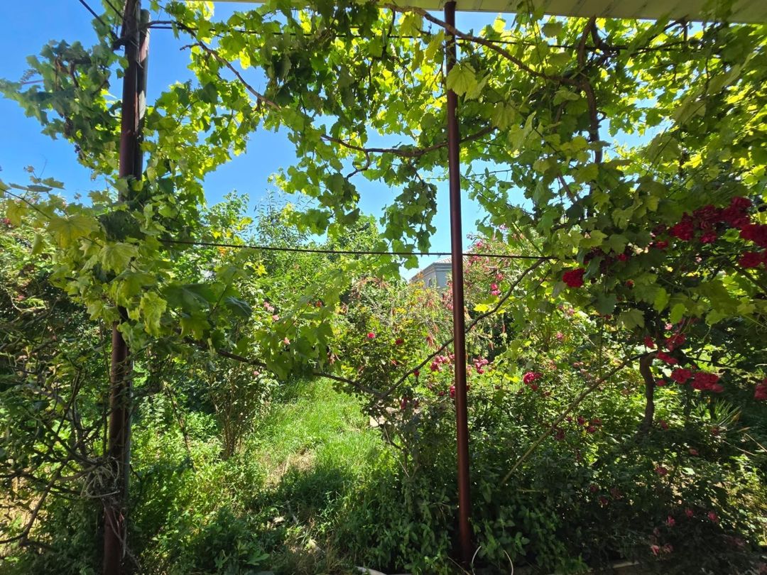 Satılır 4 otaqlı həyət evi/bağ evi 150 m² — Ev, villa, Bakı (6)
