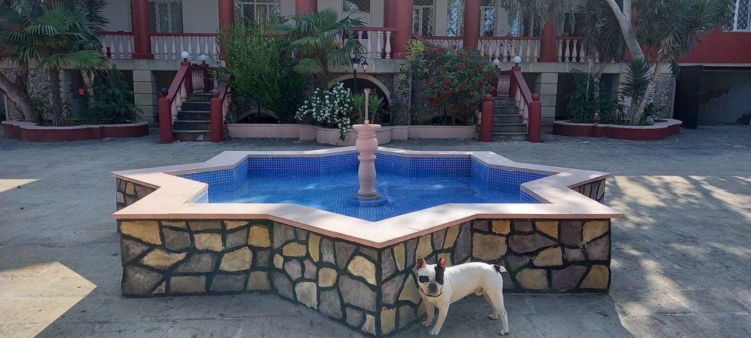Satılır 5 otaqlı həyət evi/bağ evi 200 m² — Ev, villa, Bakı (6)