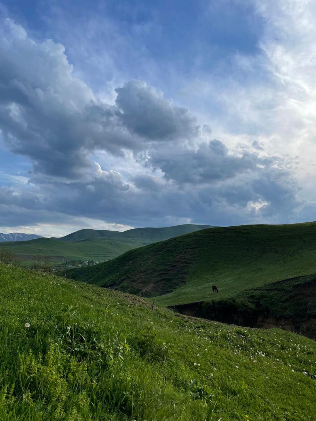 10 sot, Tikinti, Mülkiyyətçi, Kupça (Çıxarış) — Torpaq, Gədəbəy (3)