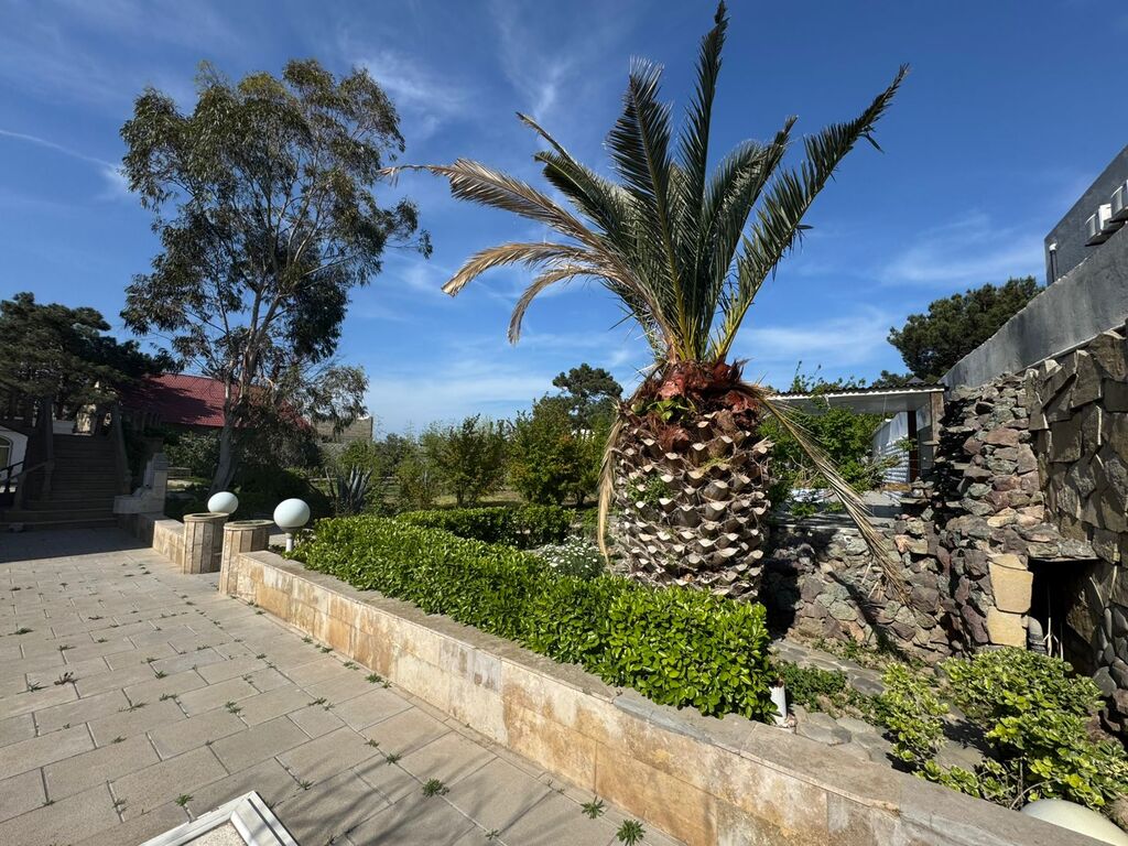 Satılır torpaq 19 sot — Torpaq, Bakı (12)