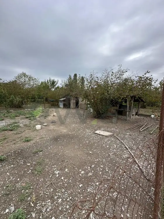 60 sot Torpaq Satılır, Qəbələ — Torpaq, Qəbələ (9)