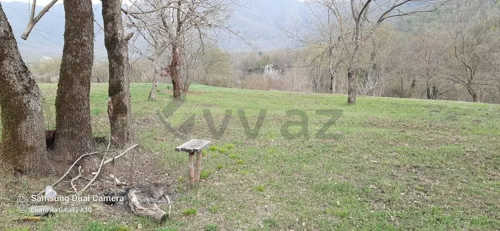 25 sot Torpaq Satılır, Zaqatala — Torpaq, Zaqatala (5)