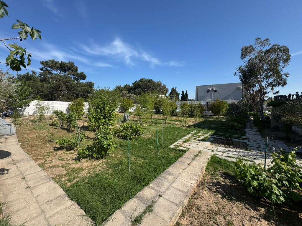 Satılır torpaq 19 sot — Torpaq, Bakı (3)