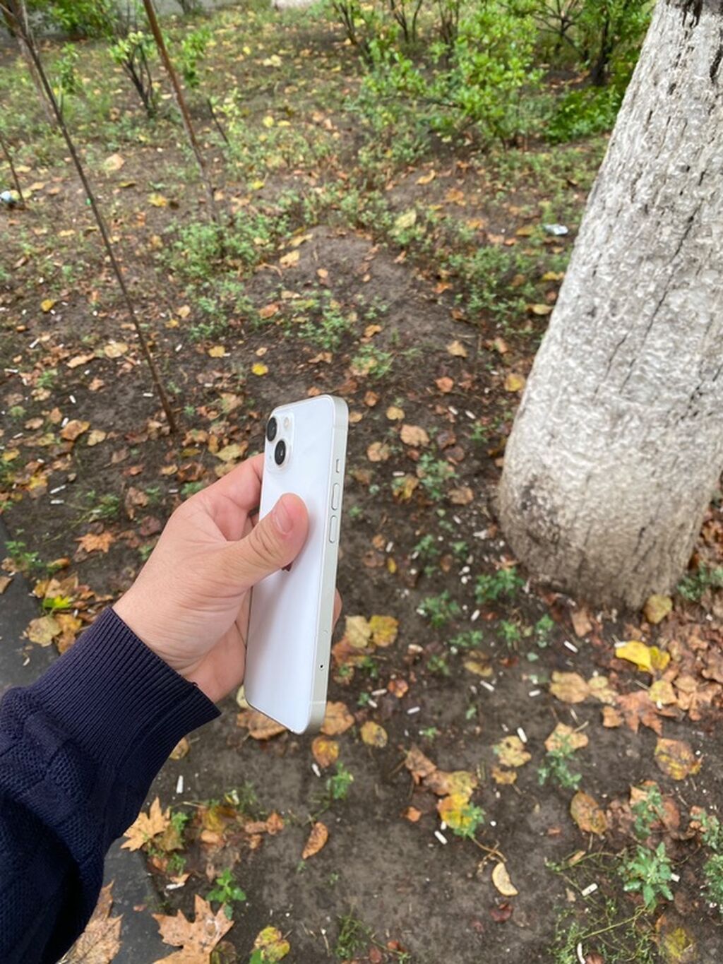 IPhone 13, 128 GB, Ağ, Face ID — Apple iPhone, Qazax (2)