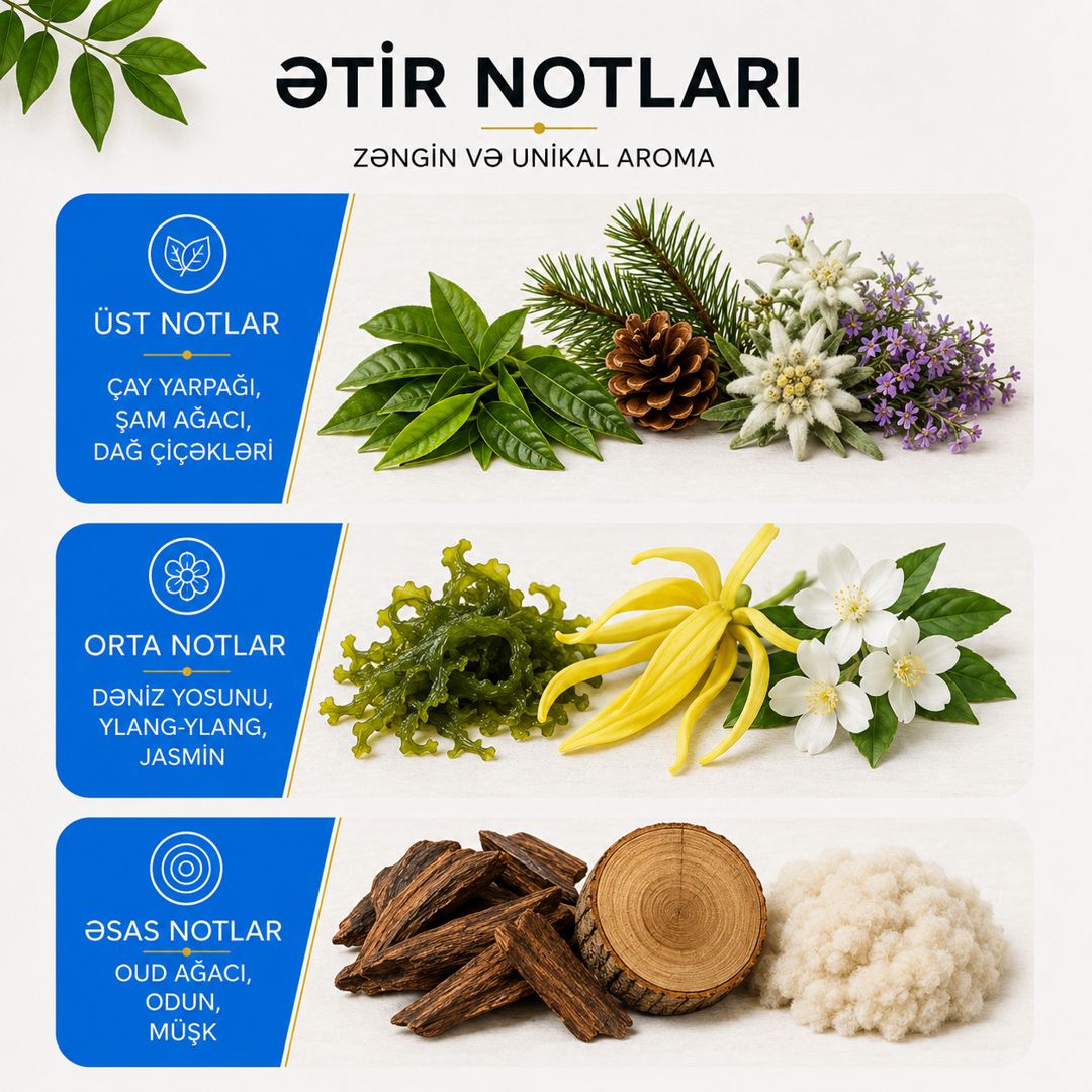 Ətirləndirici üçün ətir Aromart, Safari, Maye, 100 ml — Mallar, Bakı (2)