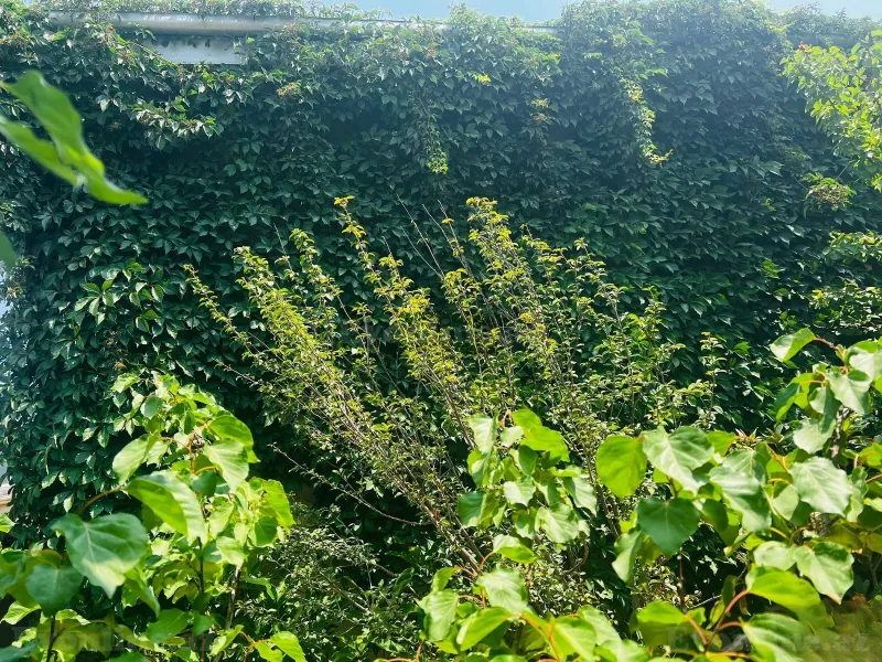 Satılır 8 otaqlı Həyət evi 200 m² Bakı, Abşeron r., Novxanı — Ev, villa, Bakı (5)