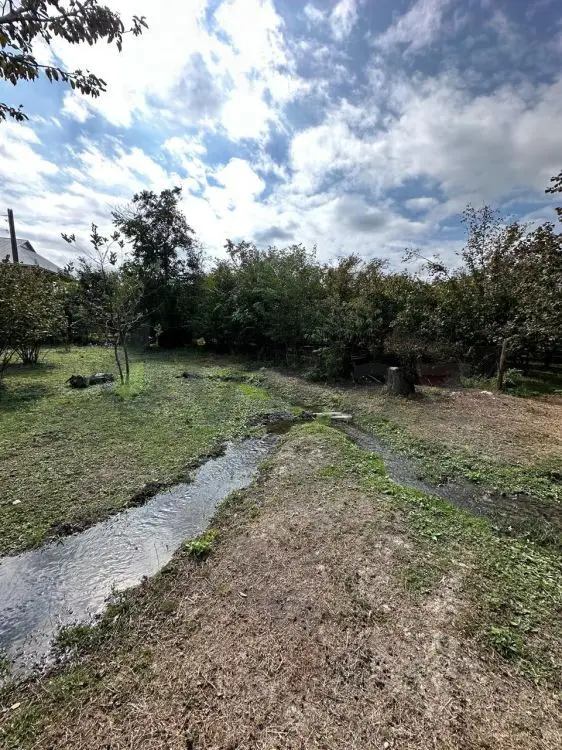 60 sot Torpaq Satılır, Qəbələ — Torpaq, Qəbələ (11)