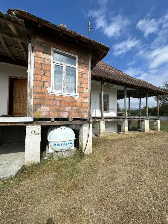60 sot Torpaq Satılır, Qəbələ — Torpaq, Qəbələ (12)