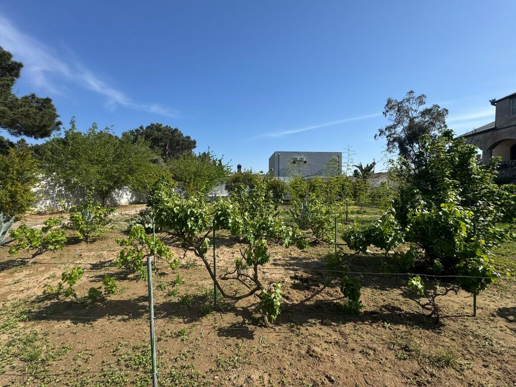 Satılır torpaq 19 sot — Torpaq, Bakı (8)