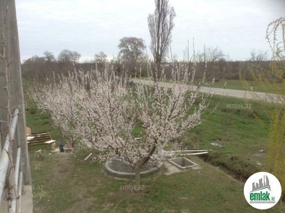 Satılır 5 otaqlı 20000 m² həyət evi Xudat — Ev, villa (3)