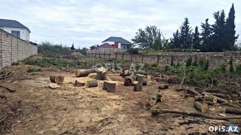 Torpaq Satılır Sabunçu r., Nardaran q., 19 sot — Bakı