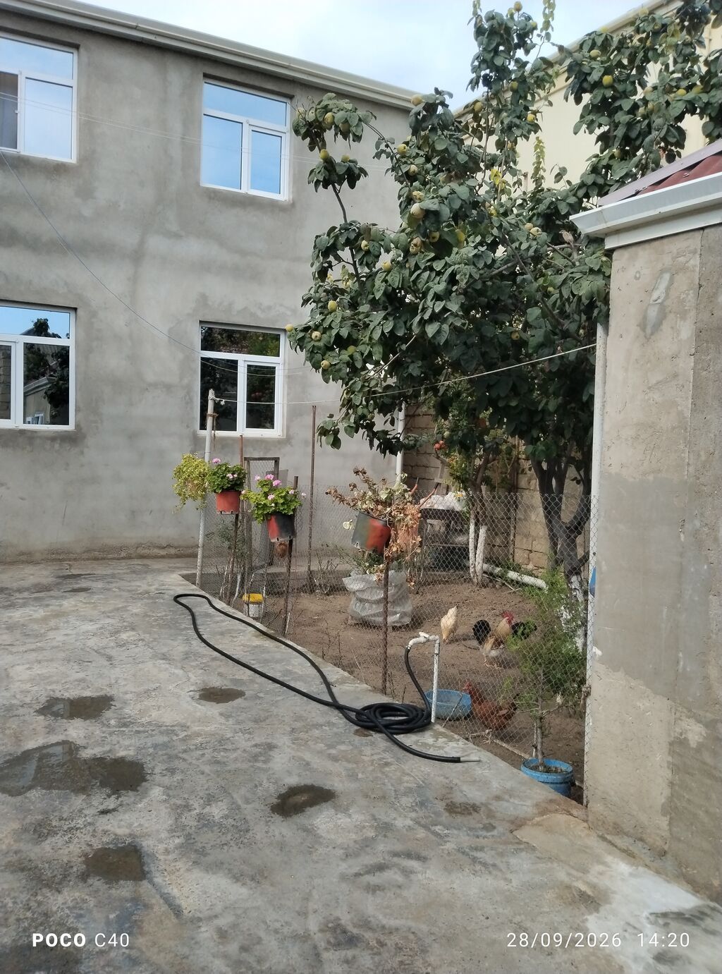 6 otaqlı, 200 kv. m, Kredit var, Orta təmir — Ev, villa, Digah (6)