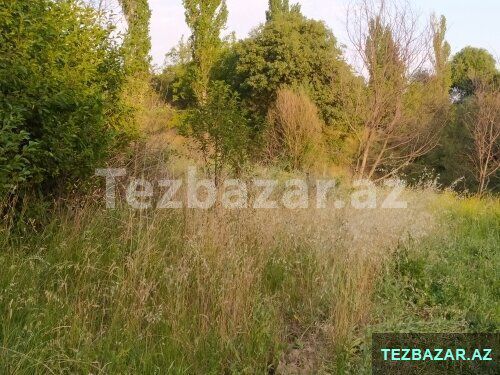 Şamaxı rayonu Əngəxaran kəndi — Torpaq, Şamaxı