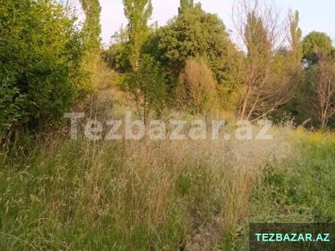 Şamaxı rayonu Əngəxaran kəndi — Şamaxı