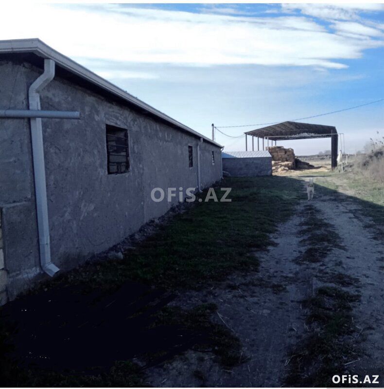 Satılır Salyan, Salyan da, Ferma satılır, 10 otaq, 1000 m² — Ofis, Salyan (2)