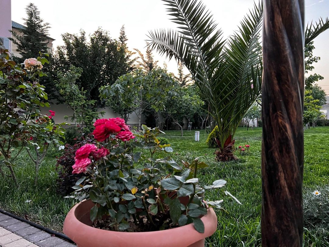 İcarəyə verilir 5 otaqlı həyət evi/bağ evi 200 m² — Ev, villa, Bakı (12)