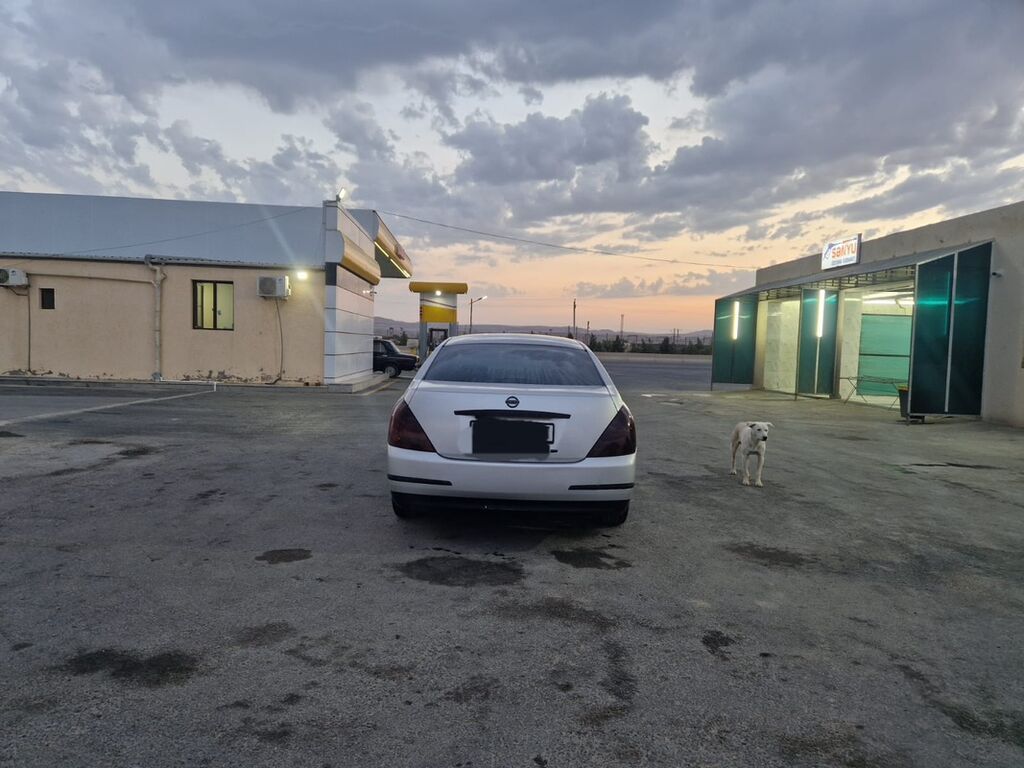 Nissan Teana: 2.3 l 2007 il Sedan — Avtomobillər, Masallı (5)