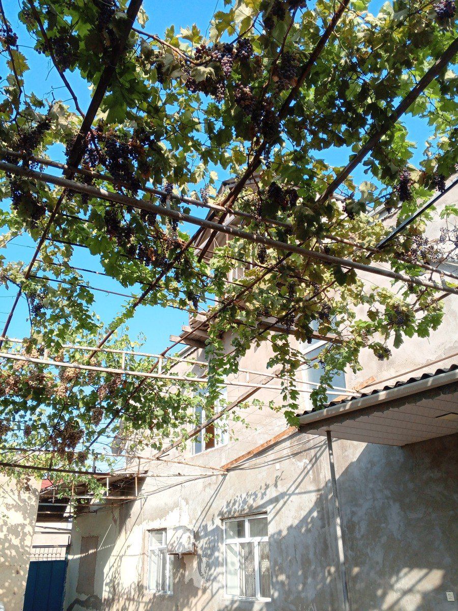 Satılır 7 otaqlı həyət evi/bağ evi 240 m² — Ev, villa, Bakı (8)