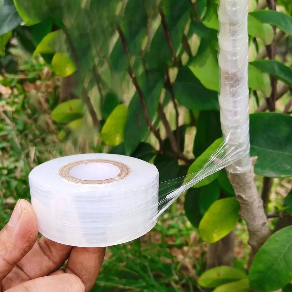 Bağ ağacları üçün calaq lenti — Mallar, Bakı (3)