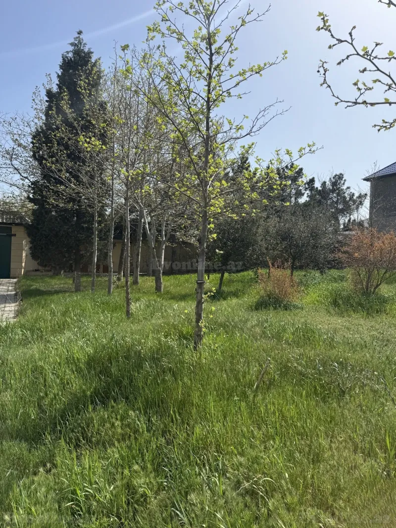 Satılır Torpaq 19 sot Bakı, Abşeron r., Masazır — Torpaq, Bakı (5)