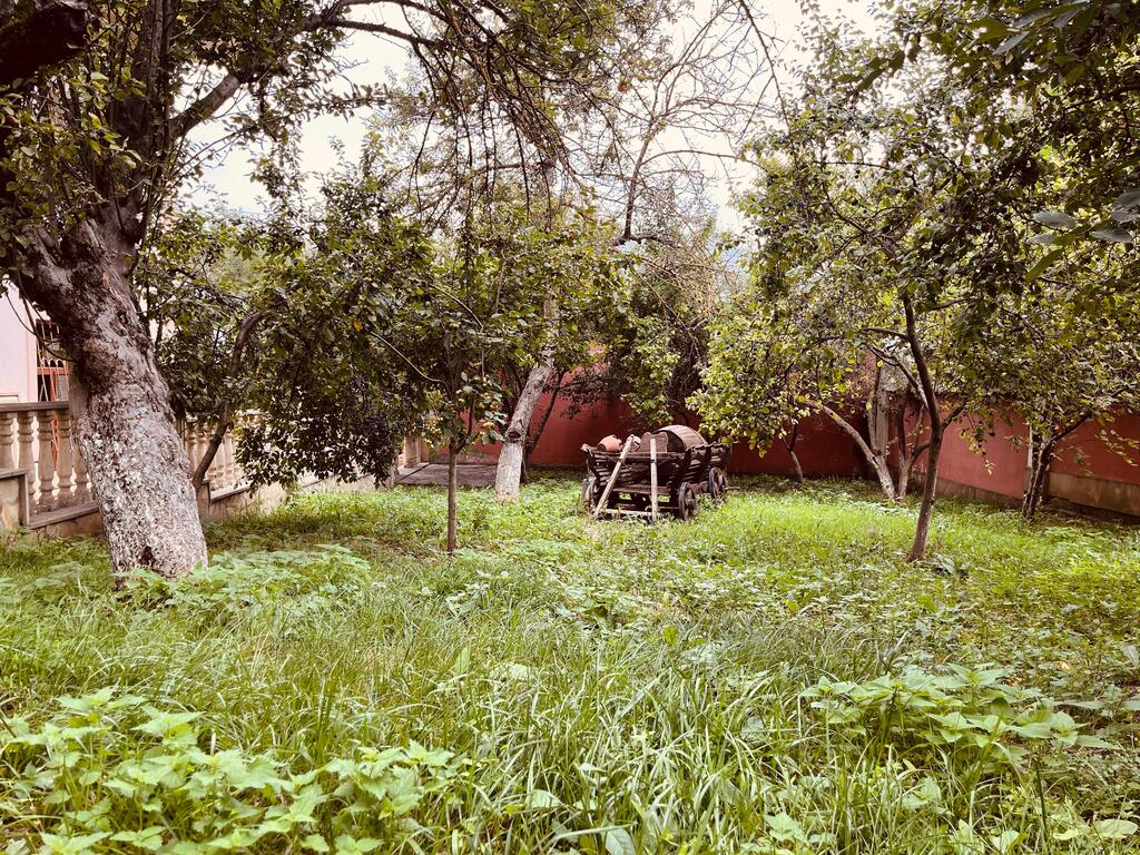 Satılır 6 otaqlı həyət evi/bağ evi 255 m² — Ev, villa, Şamaxı (11)