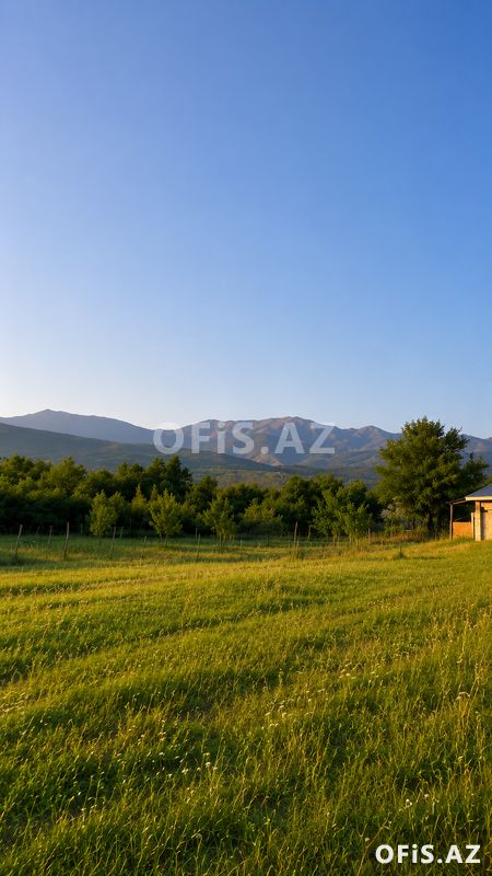 Torpaq Satılır İsmayıllı, Torpag satilr, 50 sot — Torpaq, İsmayıllı (6)