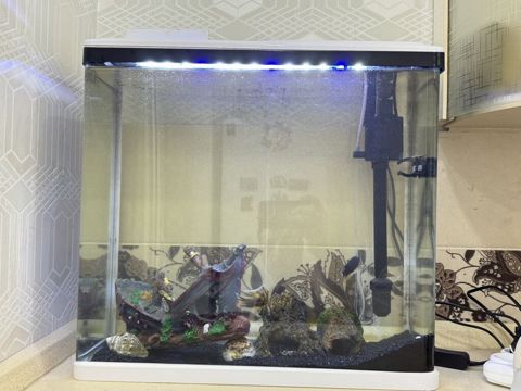 Zavod istehsalı olan akvarium sarılır 60 litrdi, içində 4 ədəd balıq — Bakı