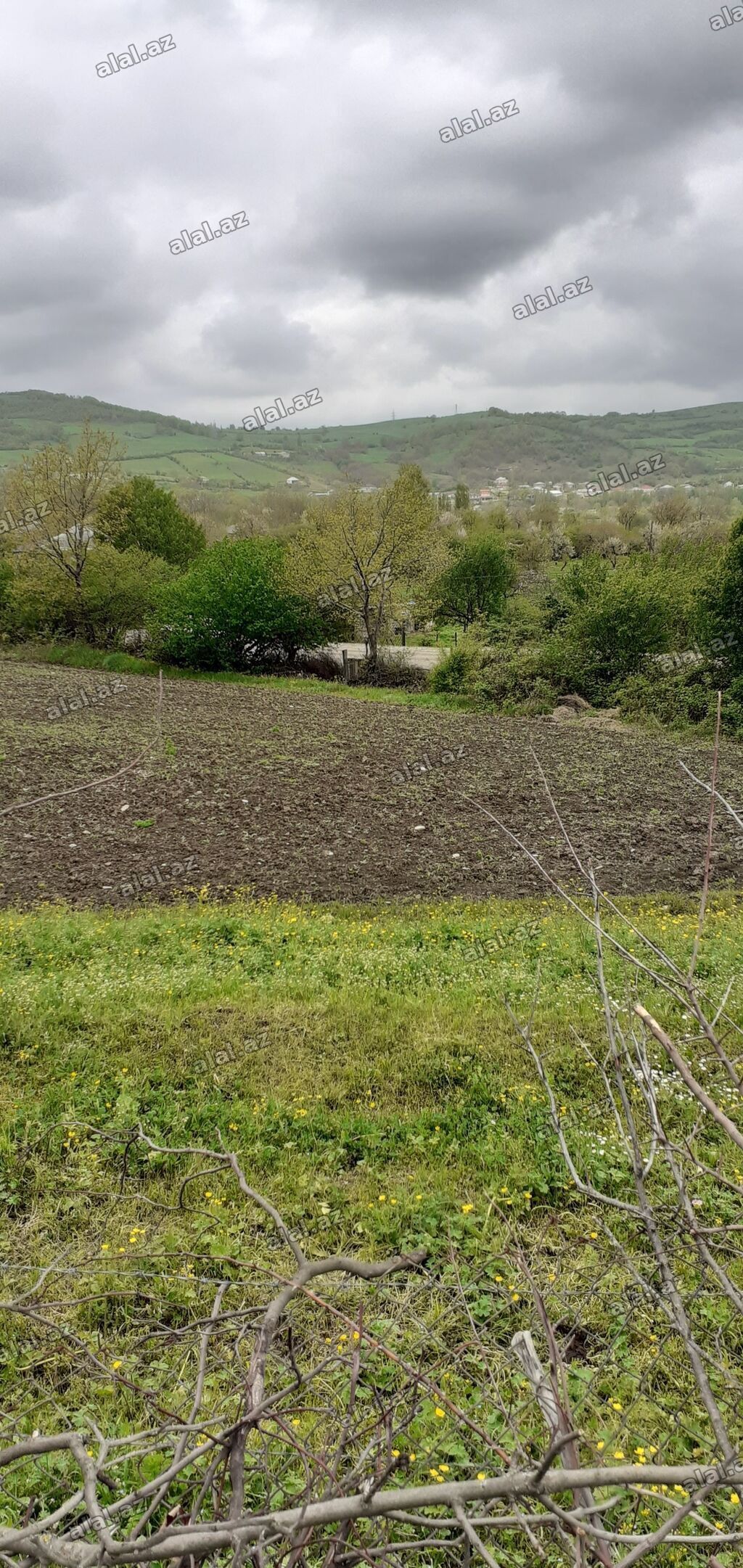 41 sot, Kənd təsərrüfatı, Mülkiyyətçi — Torpaq, Bakı (3)