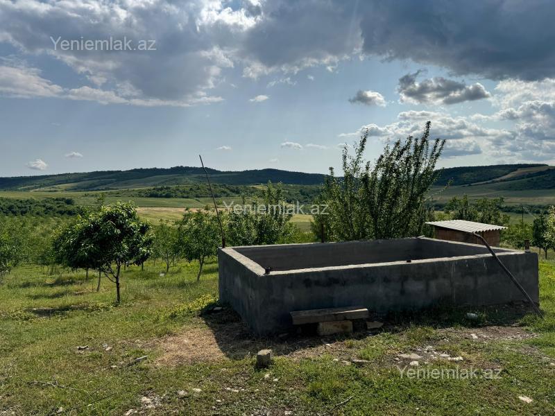 Satılır Torpaq sahəsi, 1000 sot, İsmayıllı — Torpaq, İsmayıllı (7)
