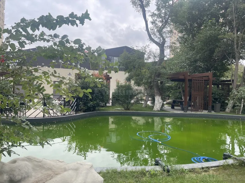 Satılır 2 otaqlı Mənzil Yeni tikili 54 m² Bakı, Nərimanov r., Nəriman Nərimanov m — Mənzil, Bakı (6)