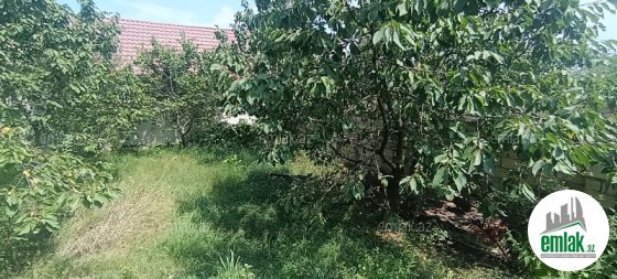 Satılır 5 sot torpaq Quba — Torpaq (4)