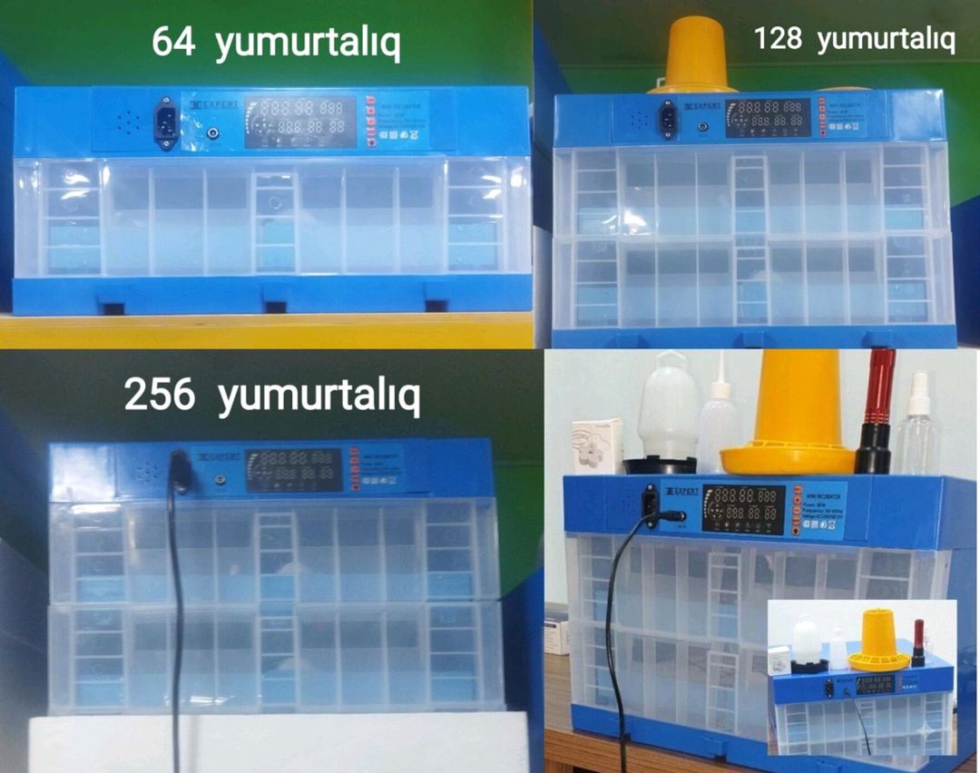 Avtomatik inkubatorlar — Tibbi avadanlıqlar, Bakı (2)